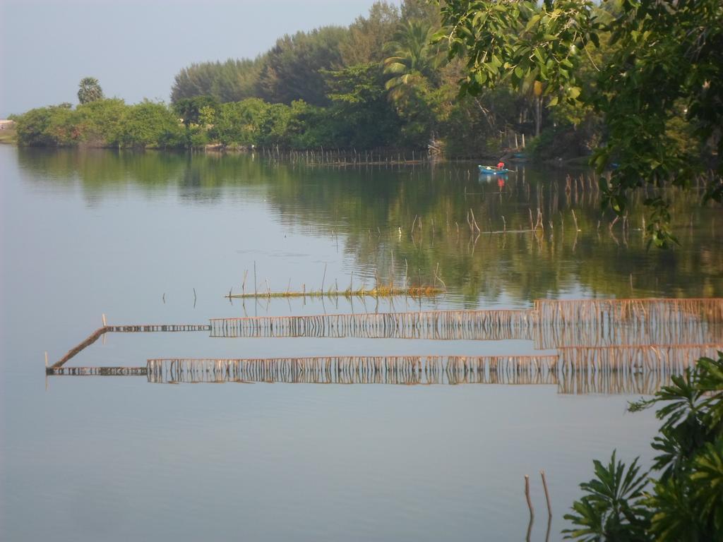 Lord Of The Forest Hotel Batticaloa Cameră foto